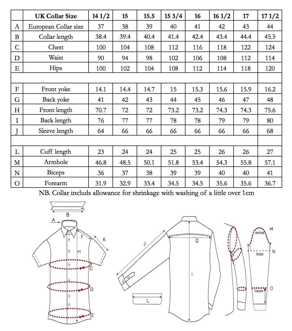 Champagne Point Collar Silk Shirt – Edward Sexton